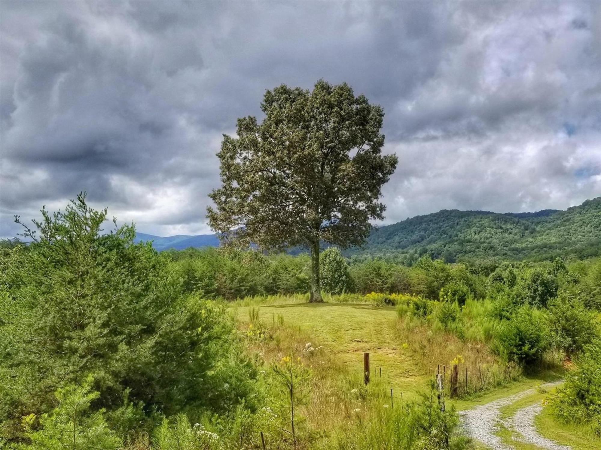 Eula Mae- Ocoee River Area Copperhill المظهر الخارجي الصورة